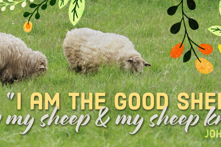 Two sheep grazing in a green field with a bright floral border framing the scene and the Bible verse: 'I am the good shepherd; I know my sheep and my sheep know me' (John 10:14, NIV). This is a decorative banner.