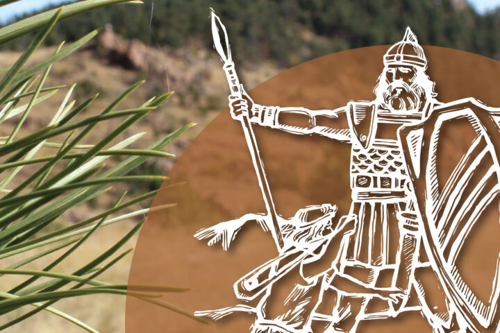 Poster-style image with the quote 'Go, and may the Lord be with you!' from 1 Samuel 17:37 over a blue sky and hills; white crusader illustration overlays a brown arc on the background.