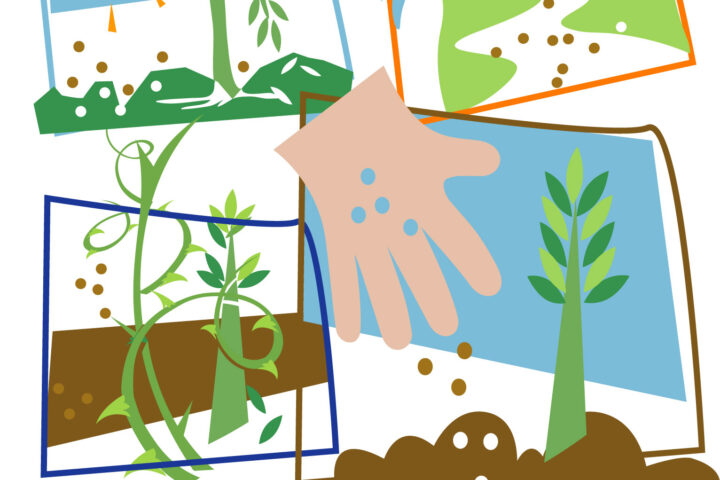 Abstract collage of plant scenes in picture frames, a hand, bird, sun, and the title 'The Parables of the Sower'.